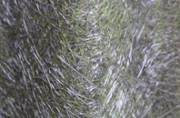 Howe Of Teuchar fibreglass roof work